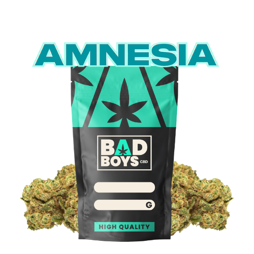 Amnésia CBD