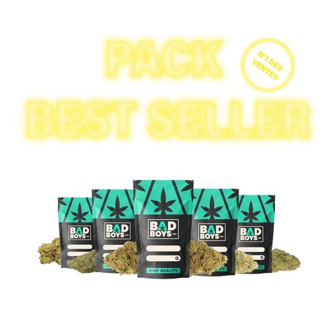 PACK BEST SELLER