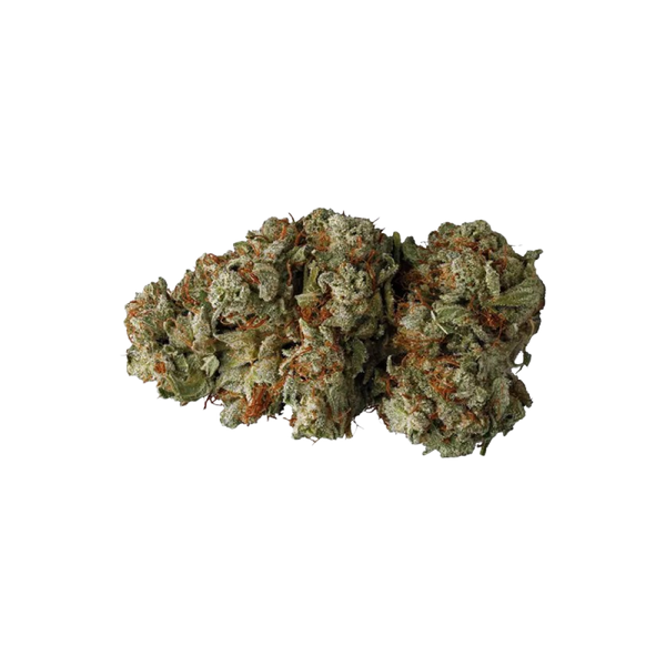 Northern Light CBD