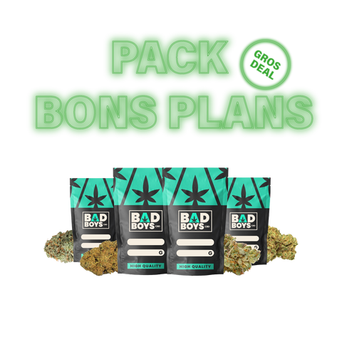 PACK BONS PLANS
