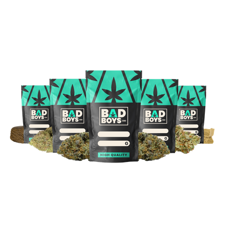 PACK MIX CBD